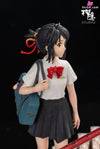 Your Name Silhouette Moment Series Mitsuha Miyamizu & Taki Tachibana GK Statue - Shen Yin Studio [Pre-Order] Others