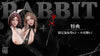 Uniform Series #4 Double Bunny Girl Zhang Min & Bai Jie 1/4 Licensed Statue - TGZW Studio [In-Stock]